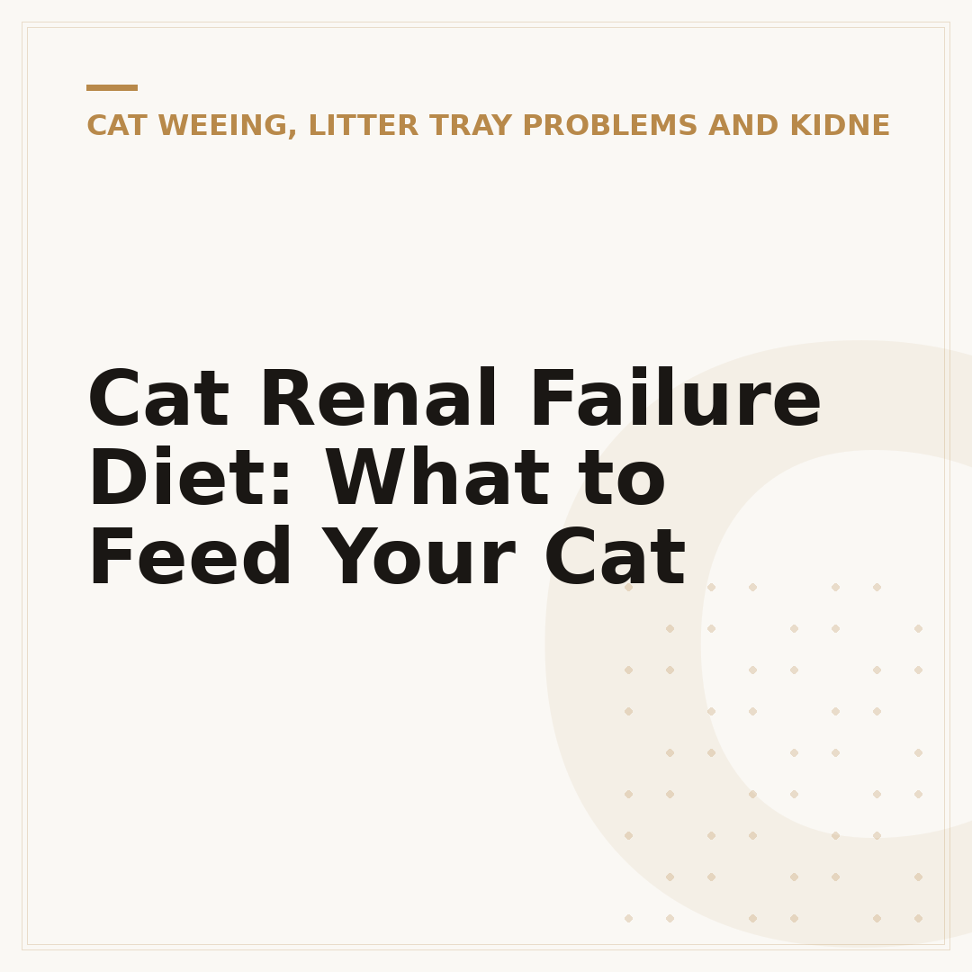 Cat Renal Failure Diet: What to Feed Your Cat