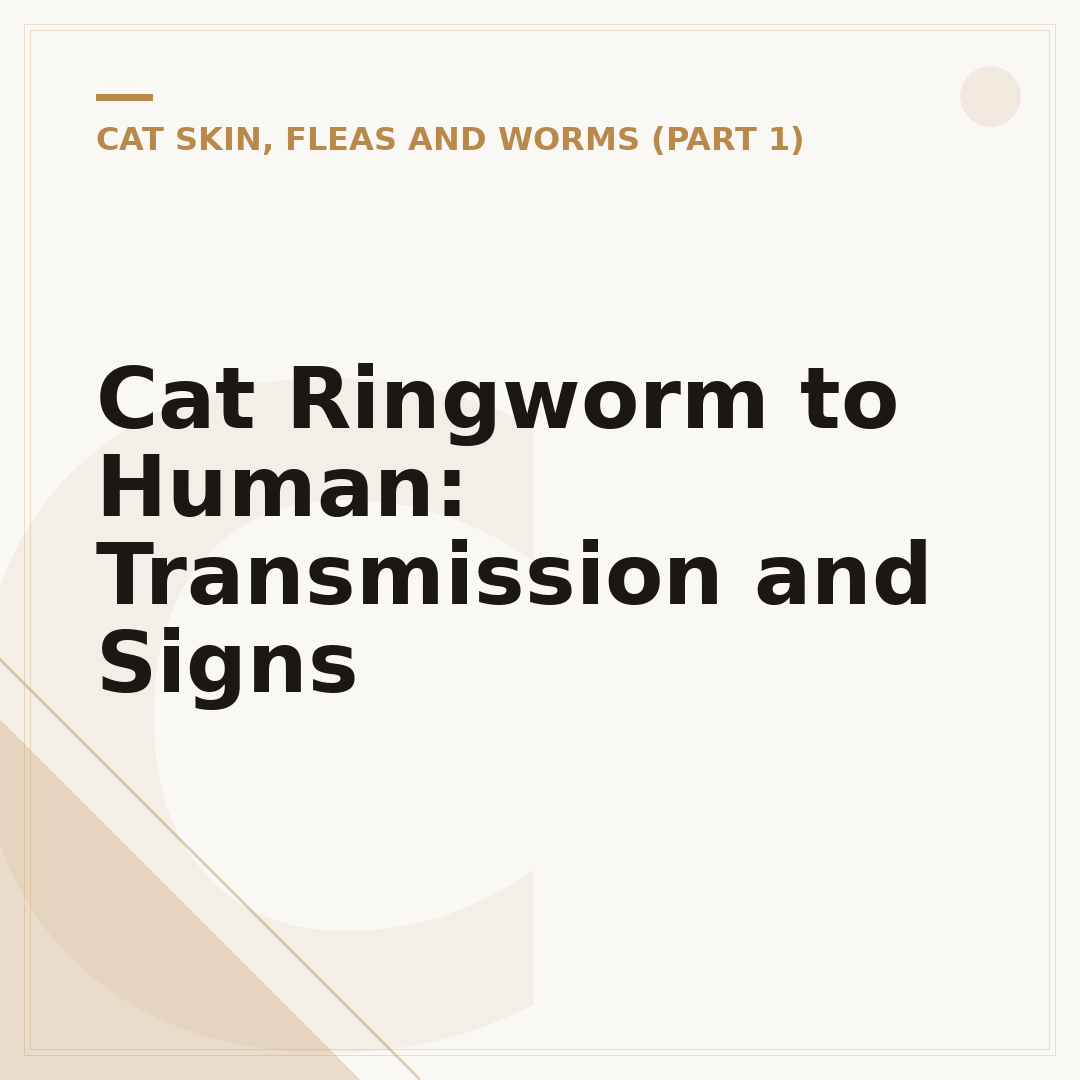 Cat Ringworm to Human: Transmission and Signs