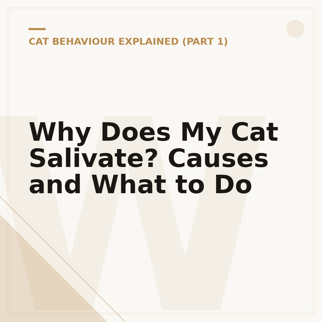 Why Does My Cat Salivate? Causes and What to Do