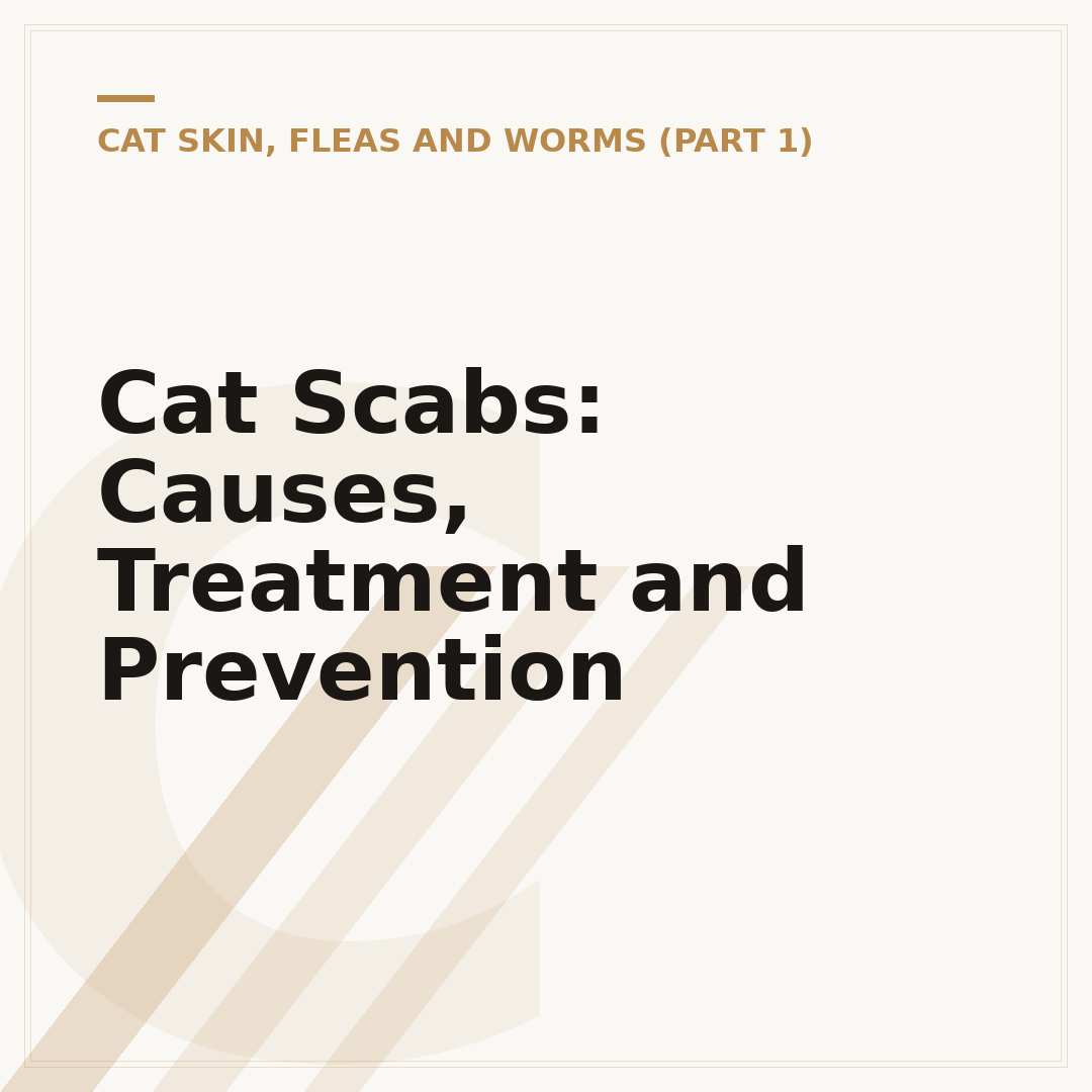 Cat Scabs: Causes, Treatment and Prevention
