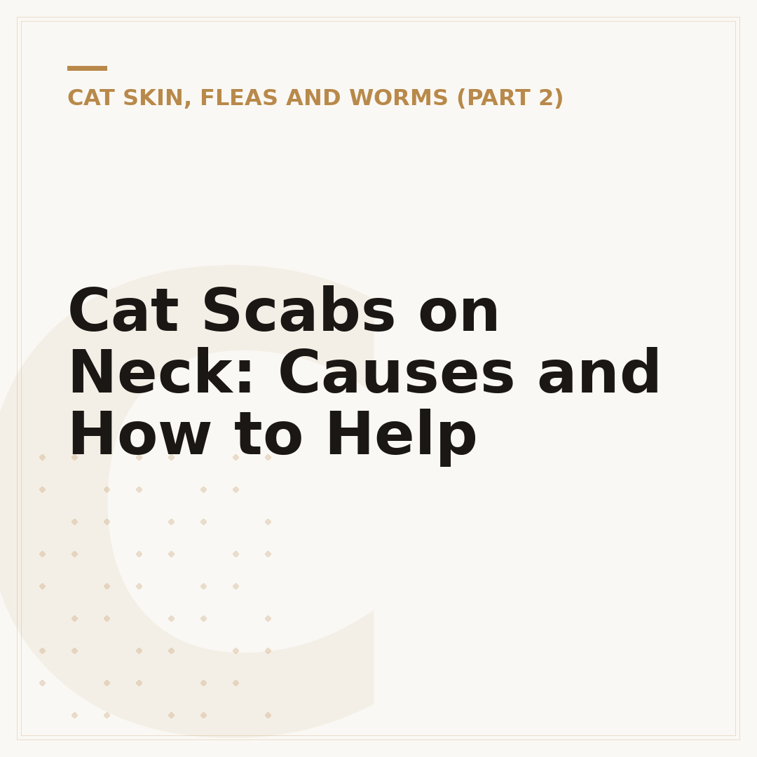 Cat Scabs on Neck: Causes and How to Help