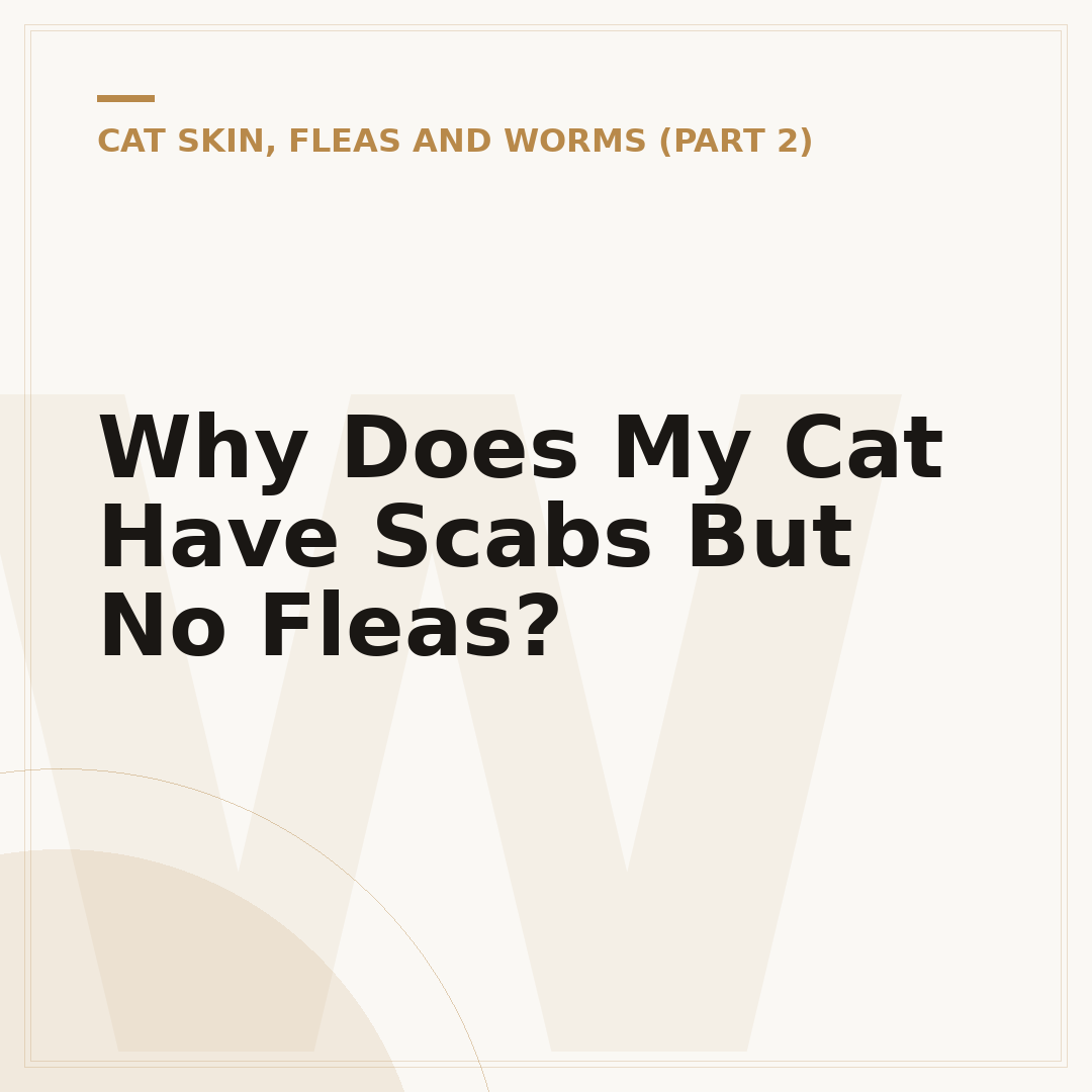 Why Does My Cat Have Scabs But No Fleas?