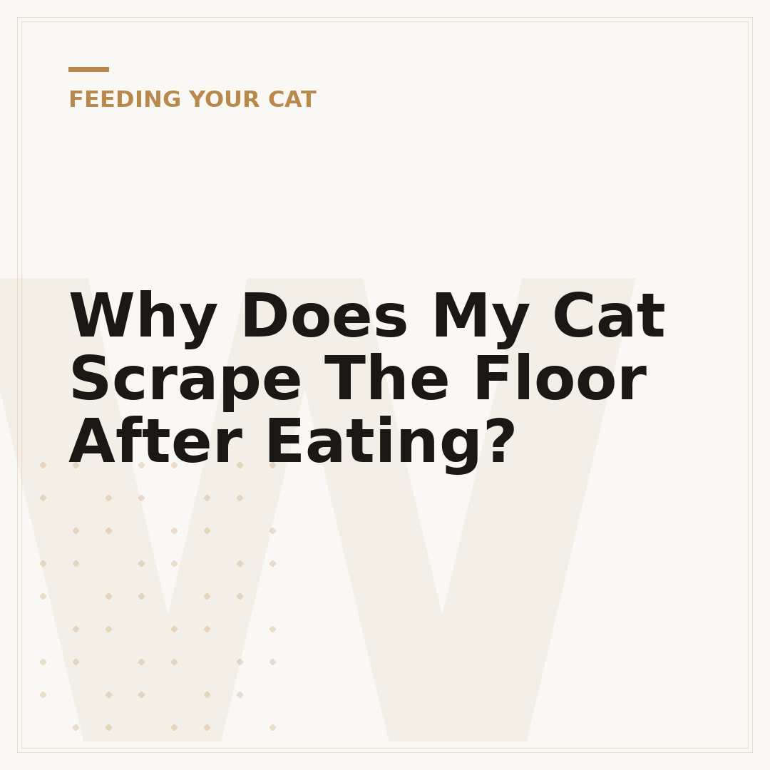 Why Does My Cat Scrape The Floor After Eating?