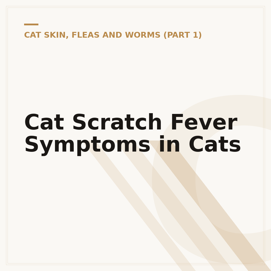 Cat Scratch Fever Symptoms in Cats