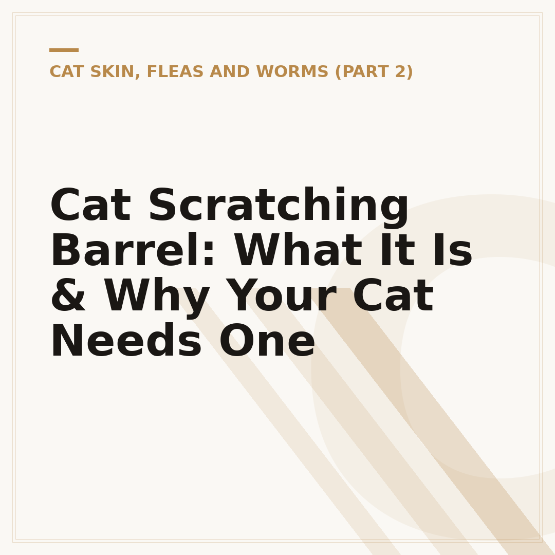 Cat Scratching Barrel: What It Is & Why Your Cat Needs One