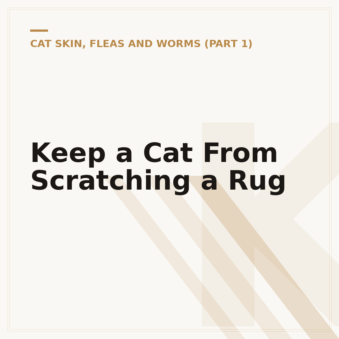 Keep a Cat From Scratching a Rug