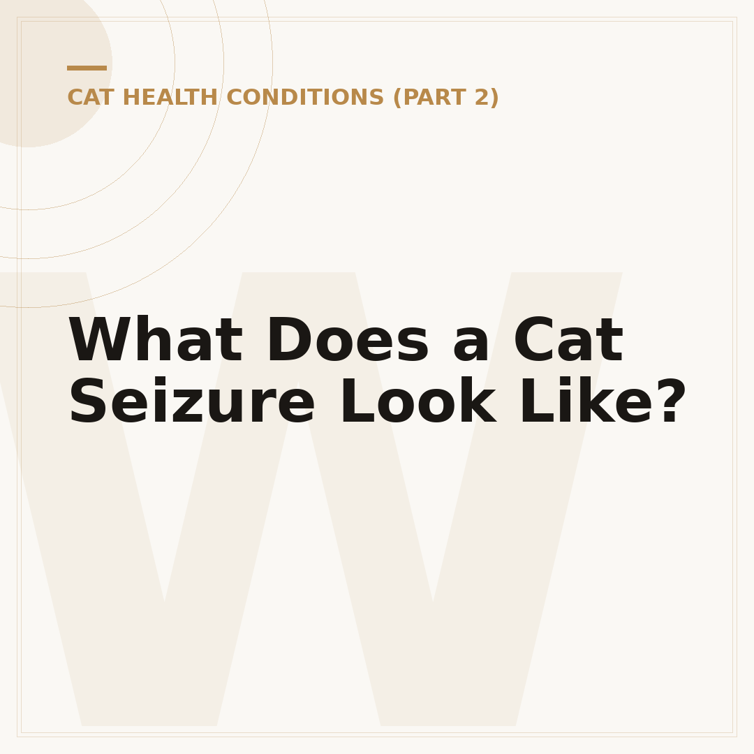 What Does a Cat Seizure Look Like?