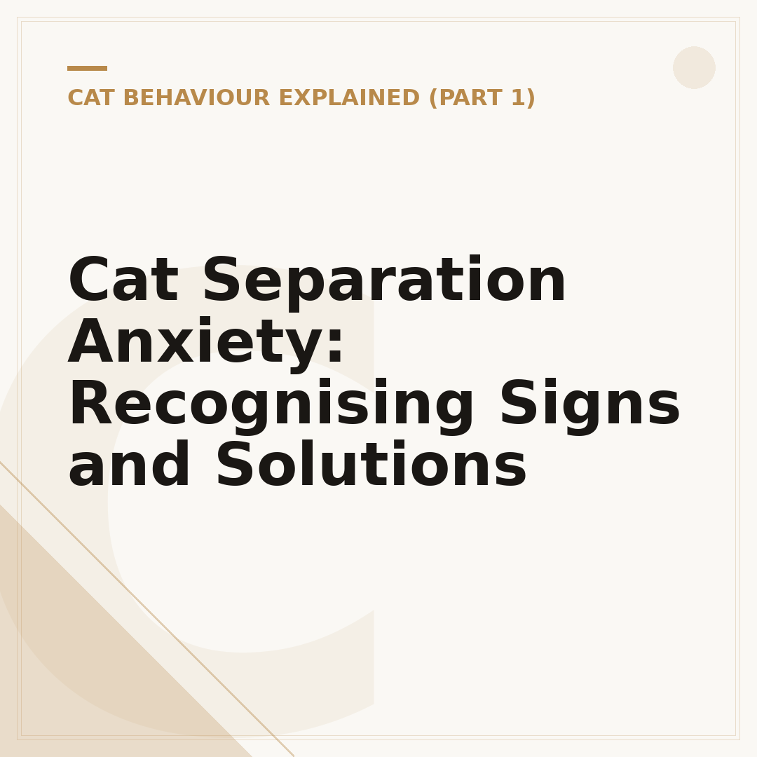 Cat Separation Anxiety: Recognising Signs and Solutions