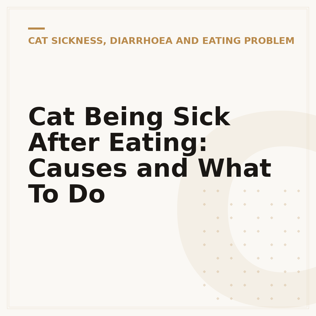 Cat Being Sick After Eating: Causes and What To Do