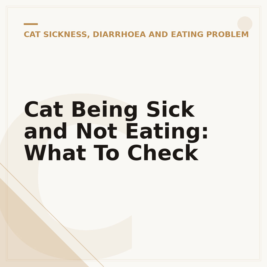 Cat Being Sick and Not Eating: What To Check