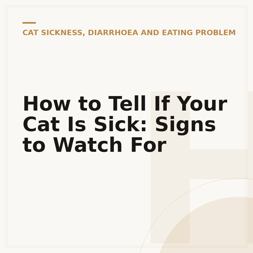 How to Tell If Your Cat Is Sick: Signs to Watch For