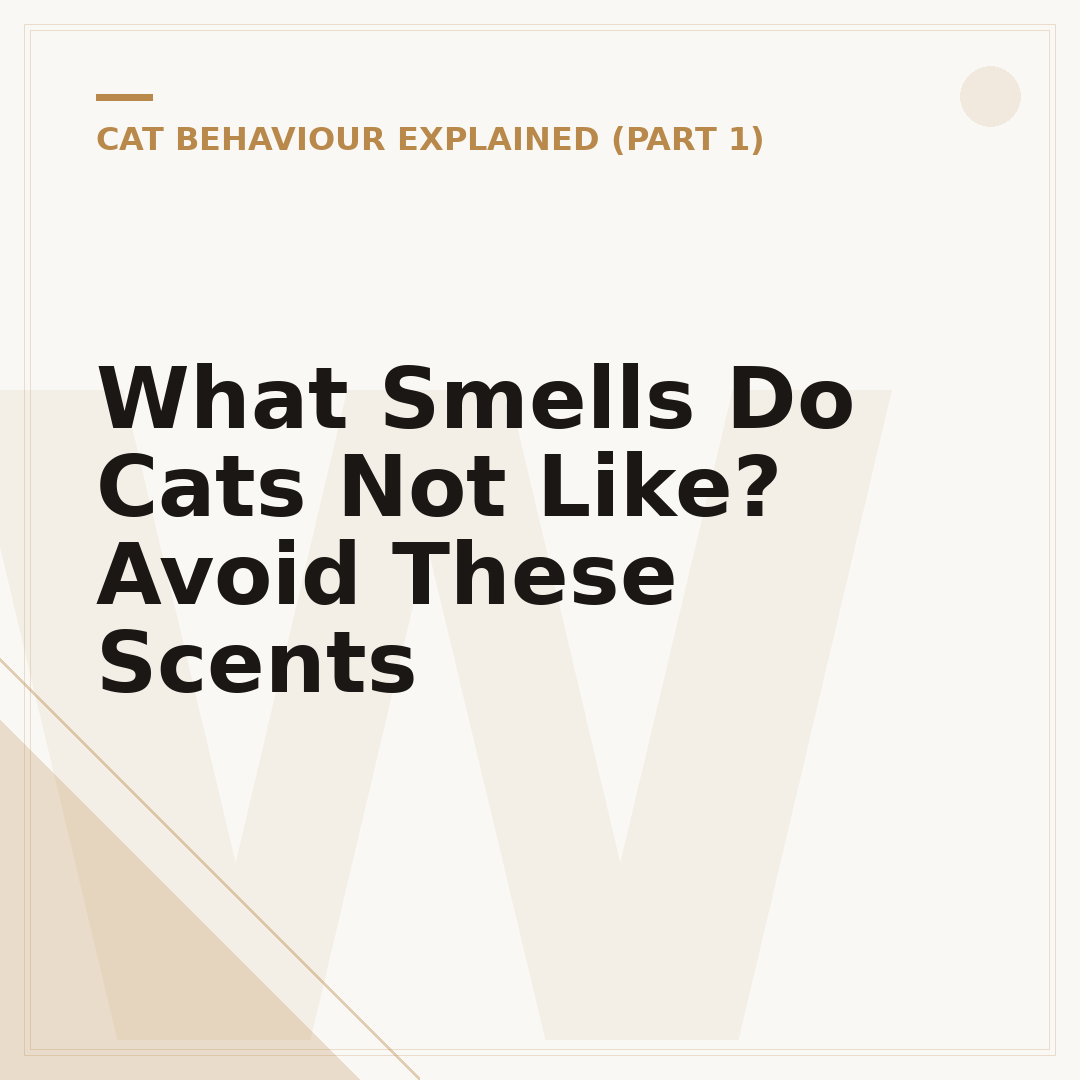 What Smells Do Cats Not Like? Avoid These Scents