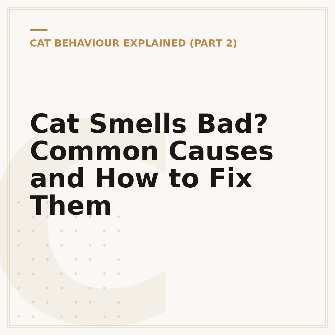 Cat Smells Bad? Common Causes and How to Fix Them