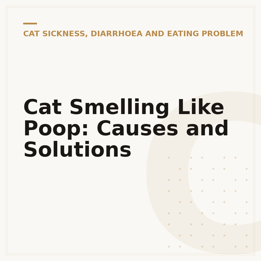 Cat Smelling Like Poop: Causes and Solutions