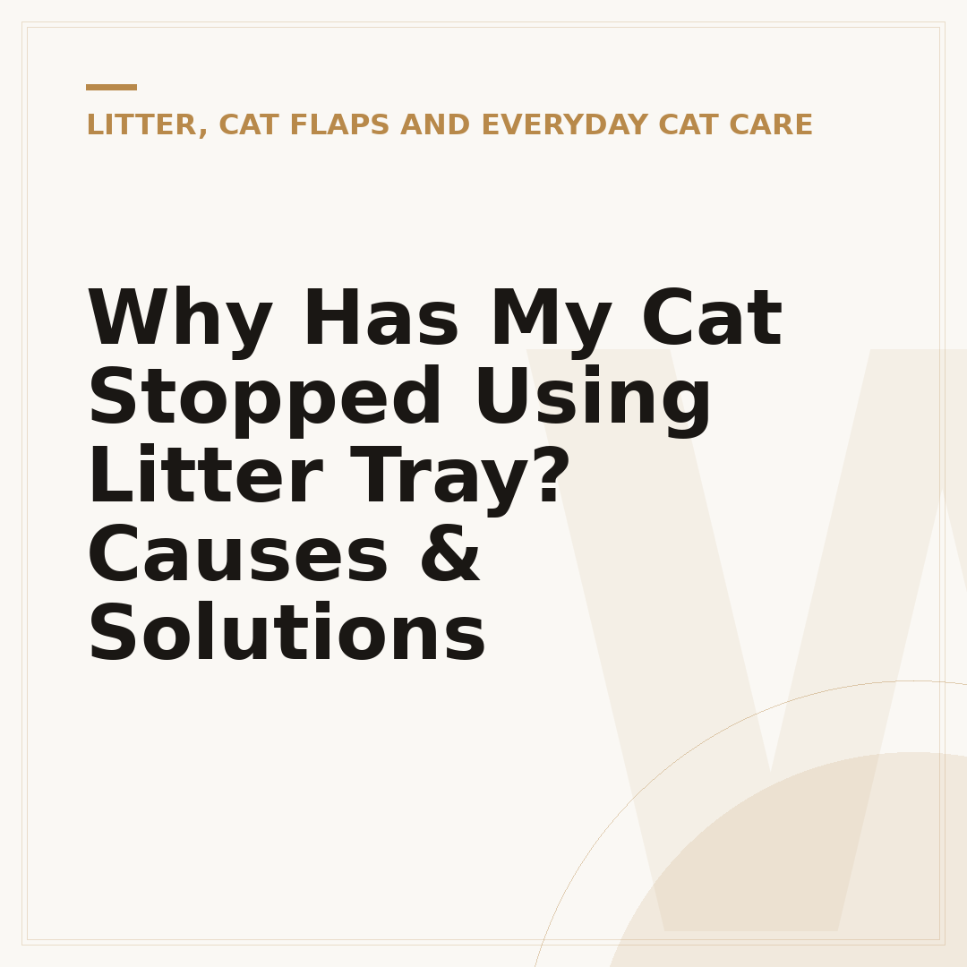 Why Has My Cat Stopped Using Litter Tray? Causes & Solutions