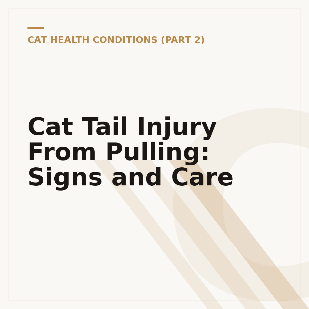 Cat Tail Injury From Pulling: Signs and Care