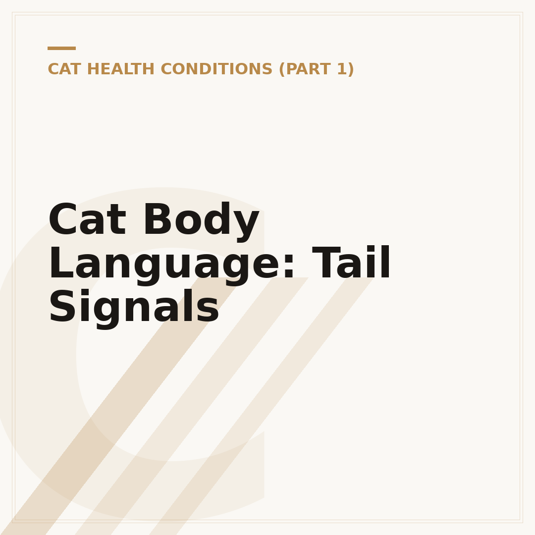 Cat Body Language: Tail Signals