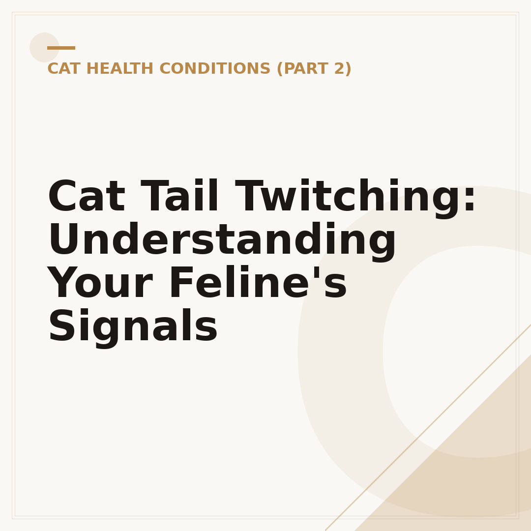 Cat Tail Twitching: Understanding Your Feline's Signals