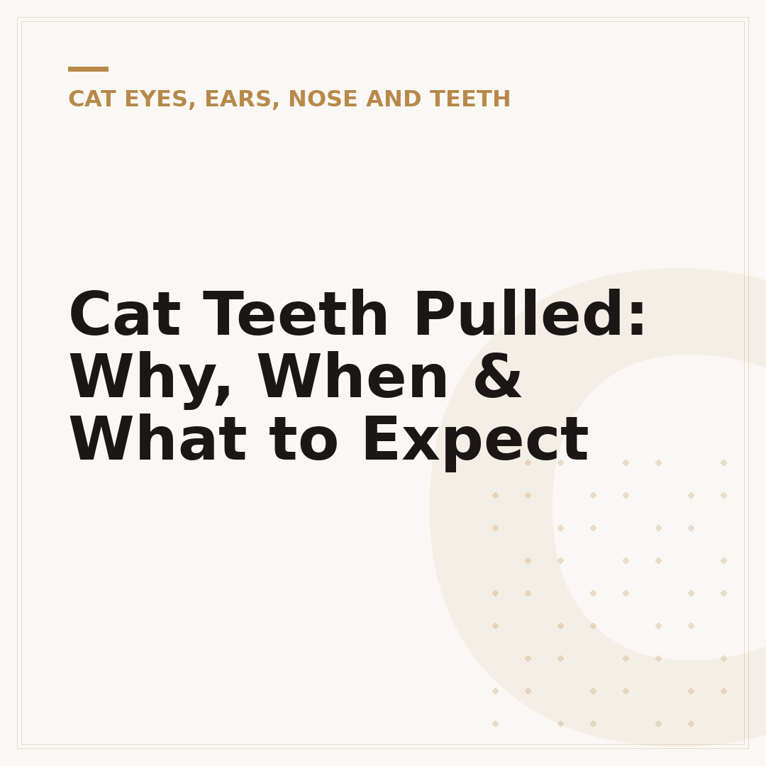 Cat Teeth Pulled: Why, When & What to Expect
