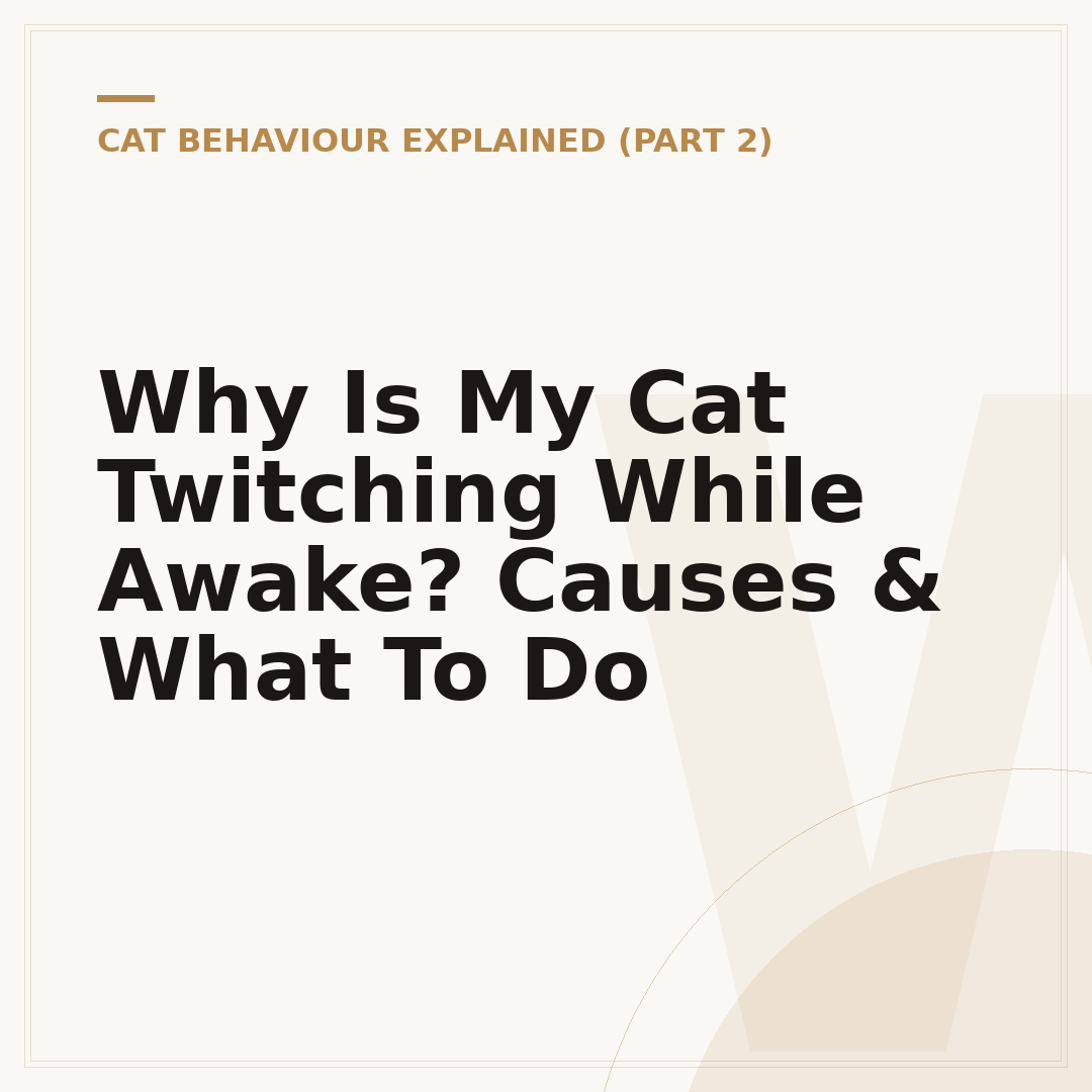 Why Is My Cat Twitching While Awake? Causes & What To Do
