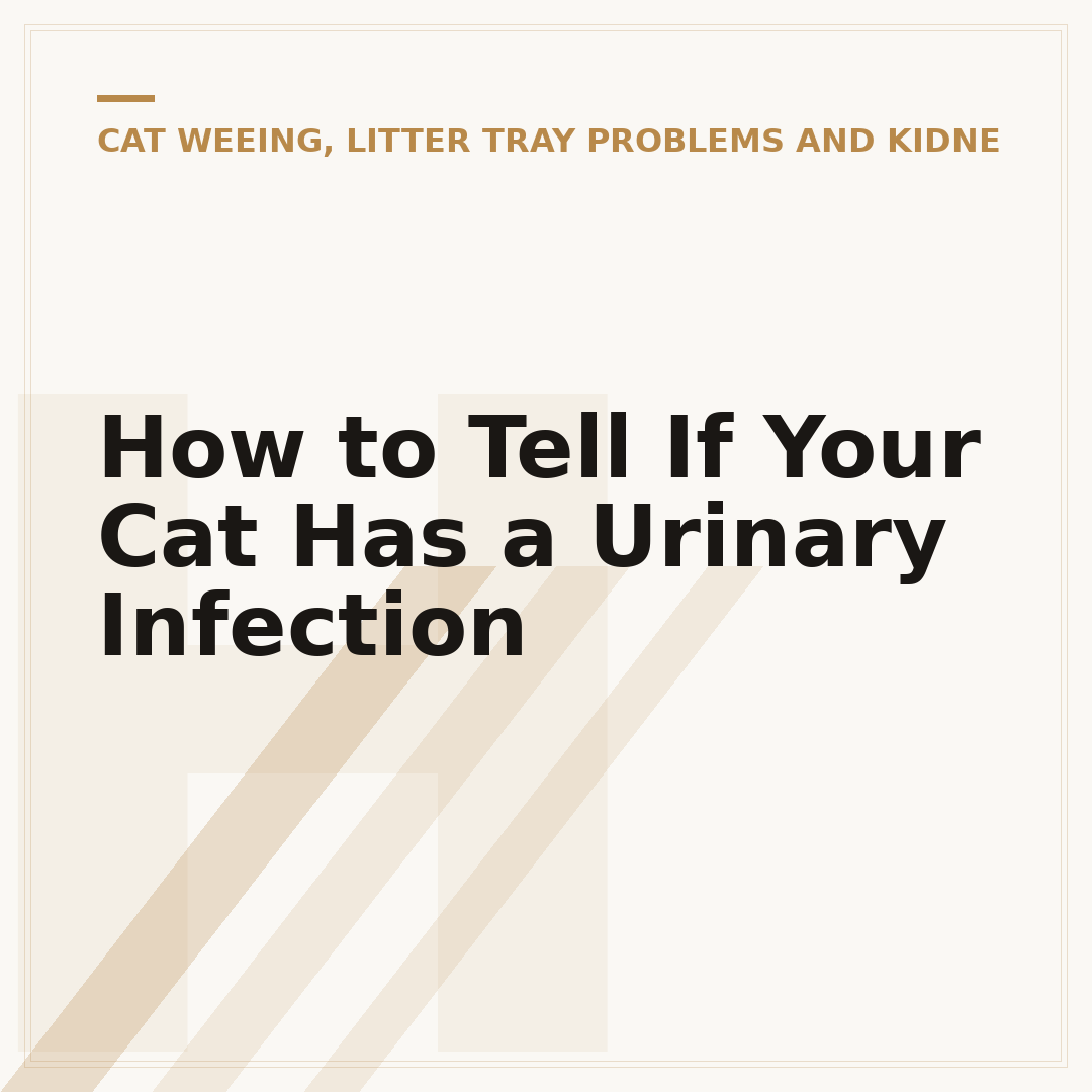 How to Tell If Your Cat Has a Urinary Infection
