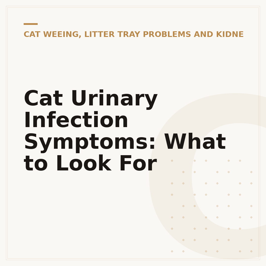 Cat Urinary Infection Symptoms: What to Look For