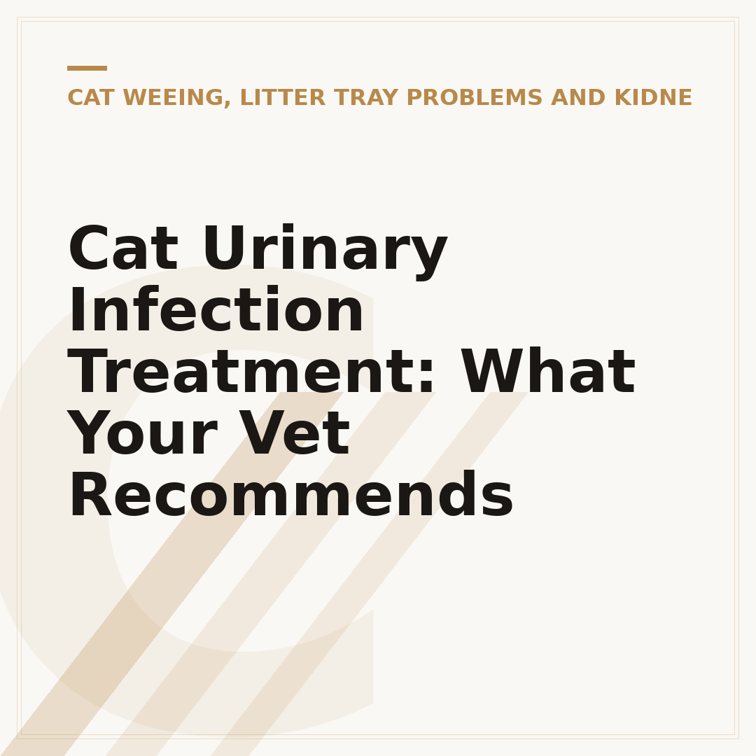 Cat Urinary Infection Treatment: What Your Vet Recommends