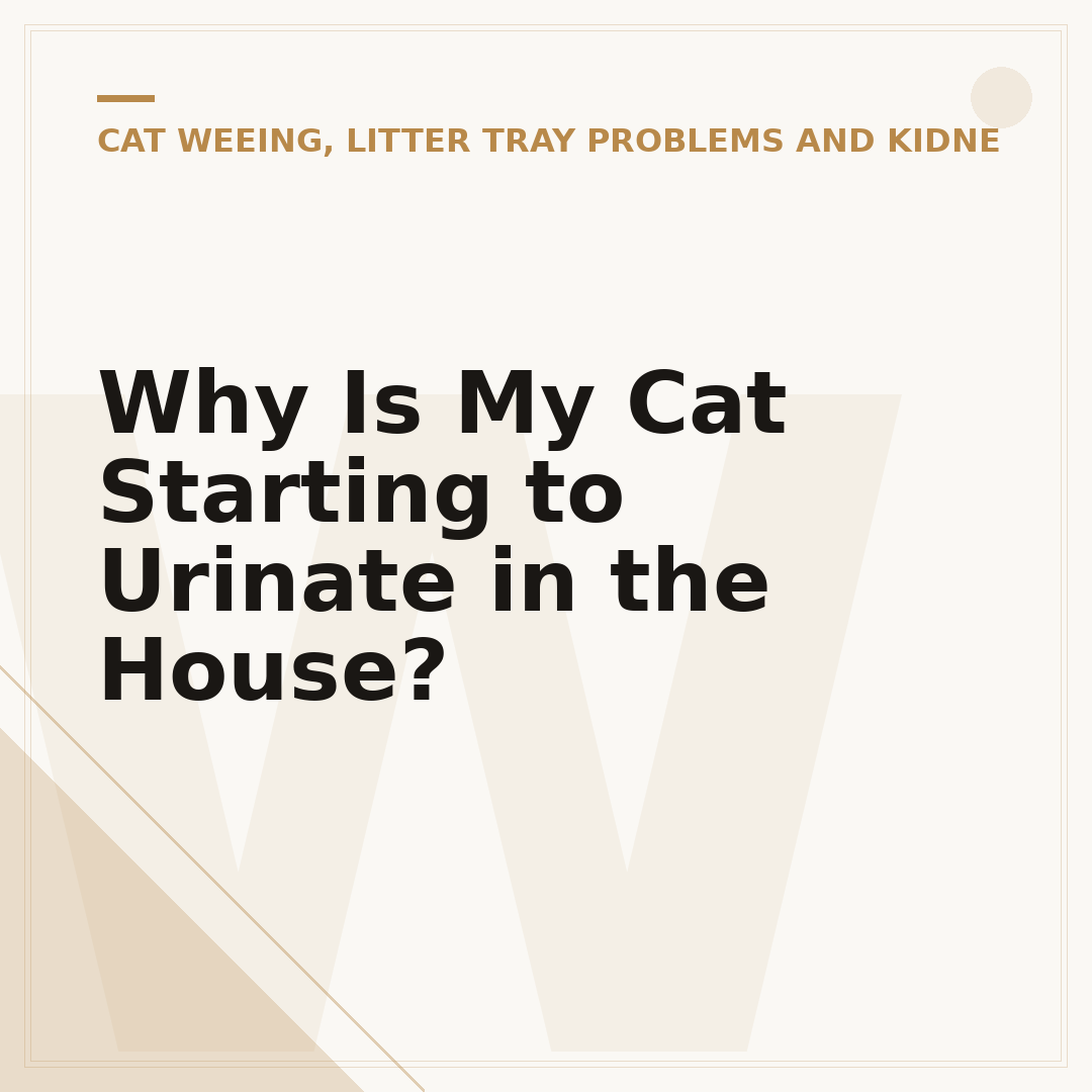 Why Is My Cat Starting to Urinate in the House?
