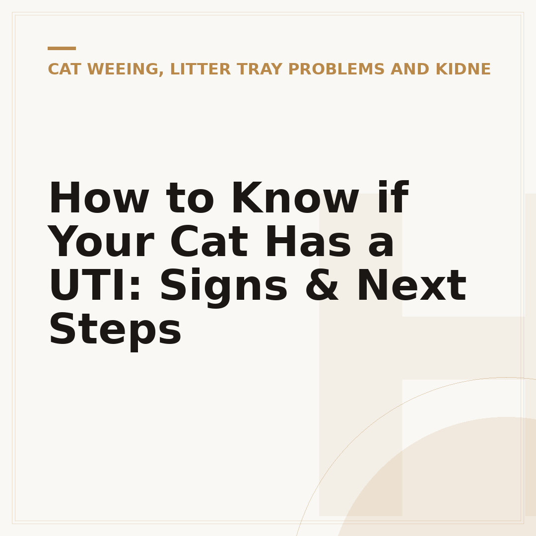 How to Know if Your Cat Has a UTI: Signs & Next Steps