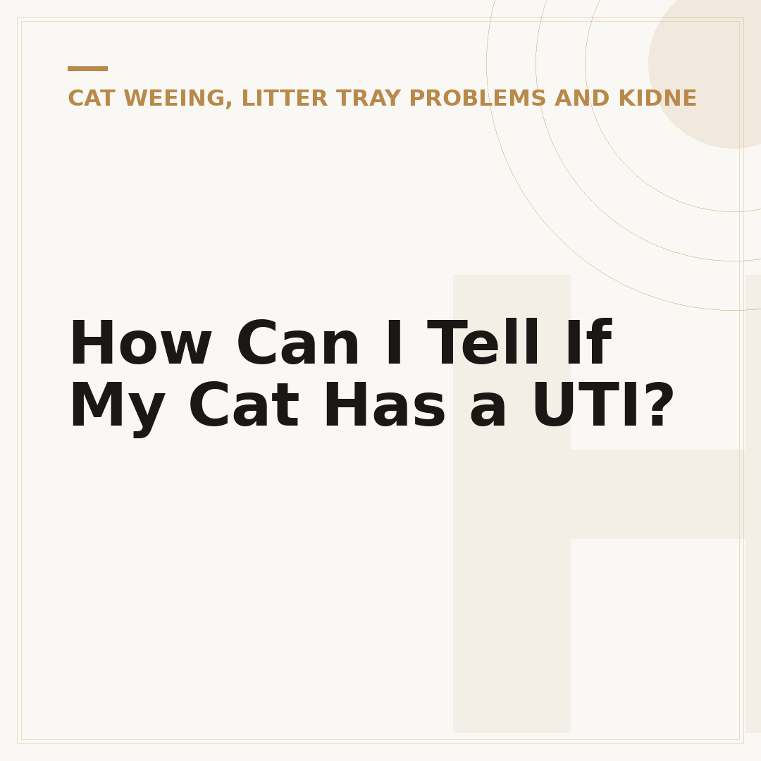 How Can I Tell If My Cat Has a UTI?