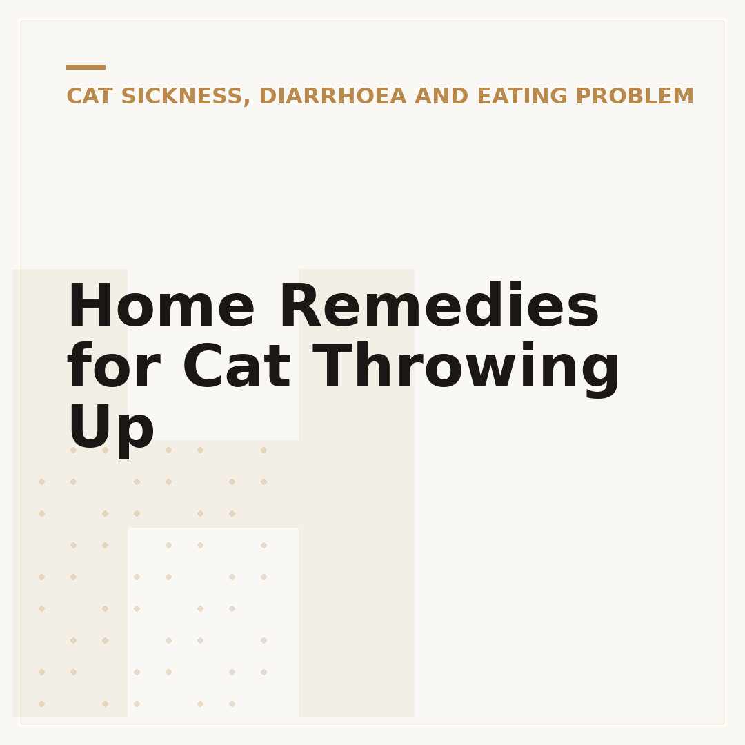 Home Remedies for Cat Throwing Up