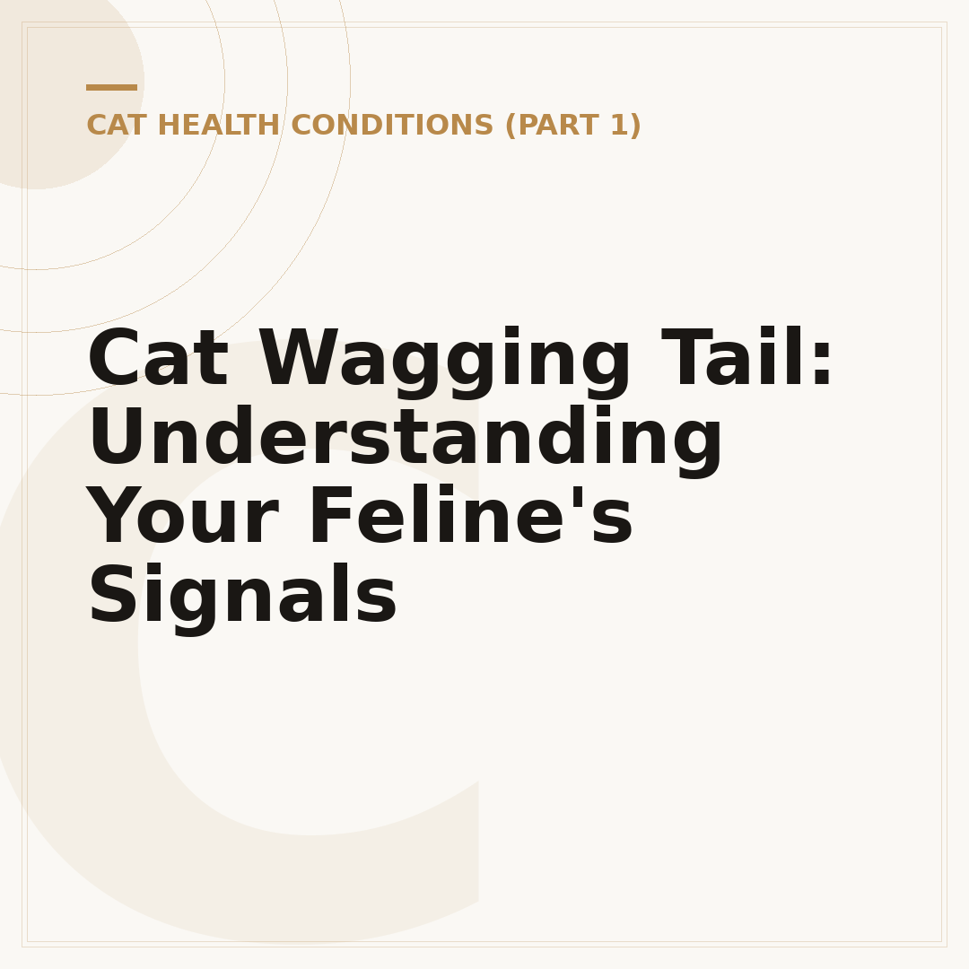 Cat Wagging Tail: Understanding Your Feline's Signals