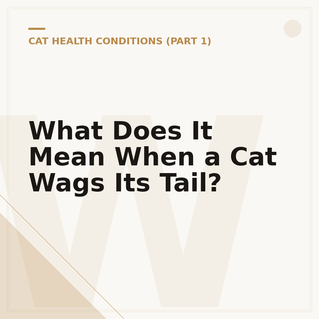 What Does It Mean When a Cat Wags Its Tail?