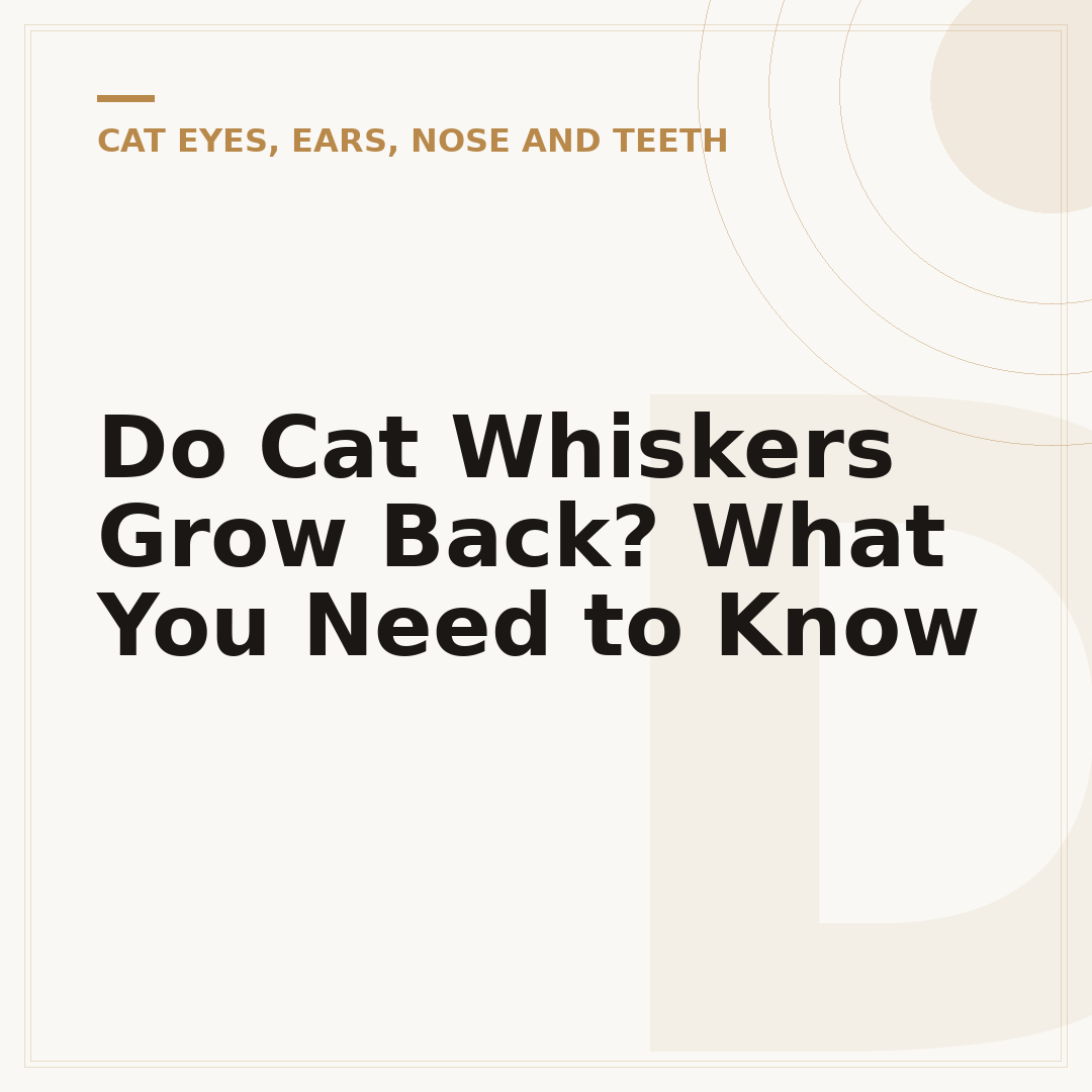 Do Cat Whiskers Grow Back? What You Need to Know