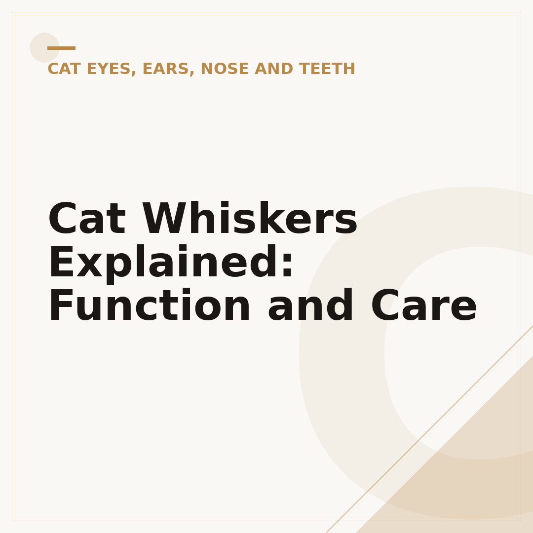 Cat Whiskers Explained: Function and Care