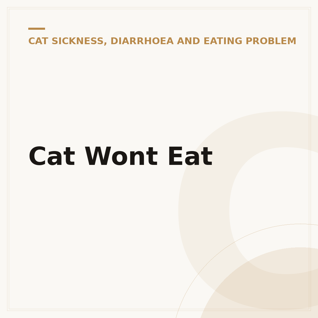 Cat Wont Eat