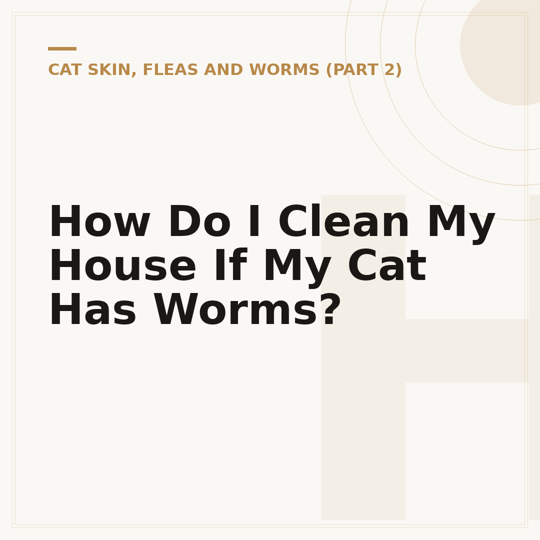How Do I Clean My House If My Cat Has Worms?