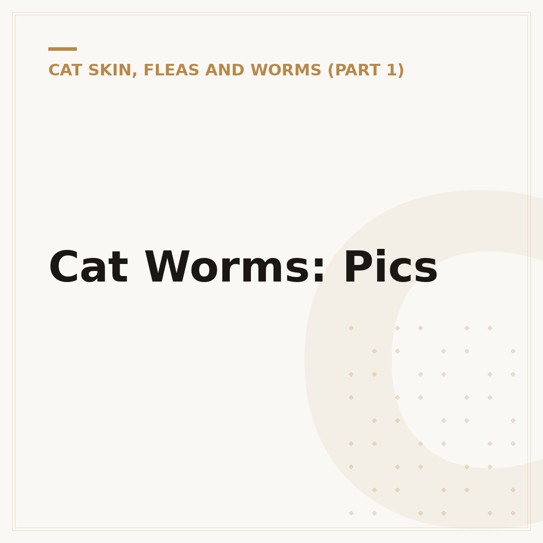 Cat Worms: Pics