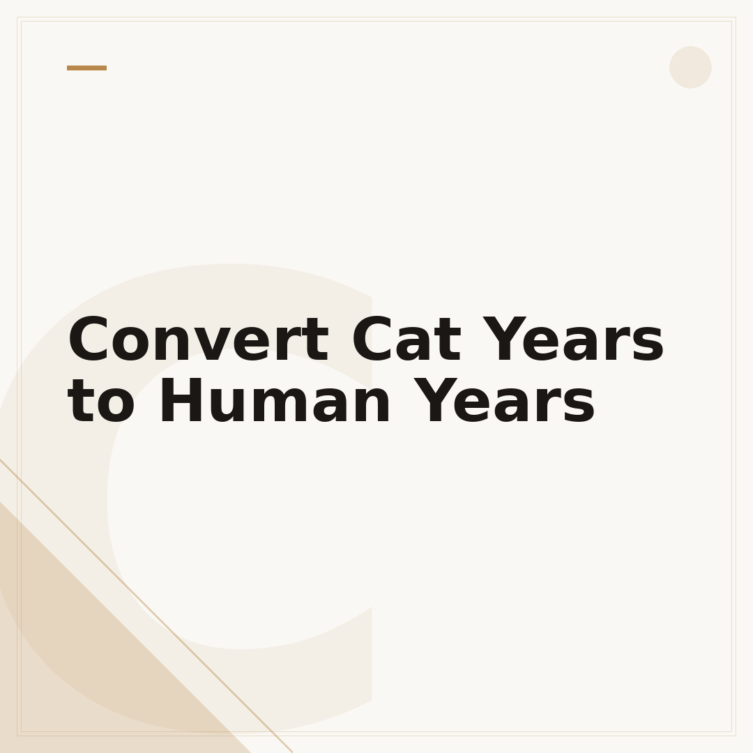 Convert Cat Years to Human Years