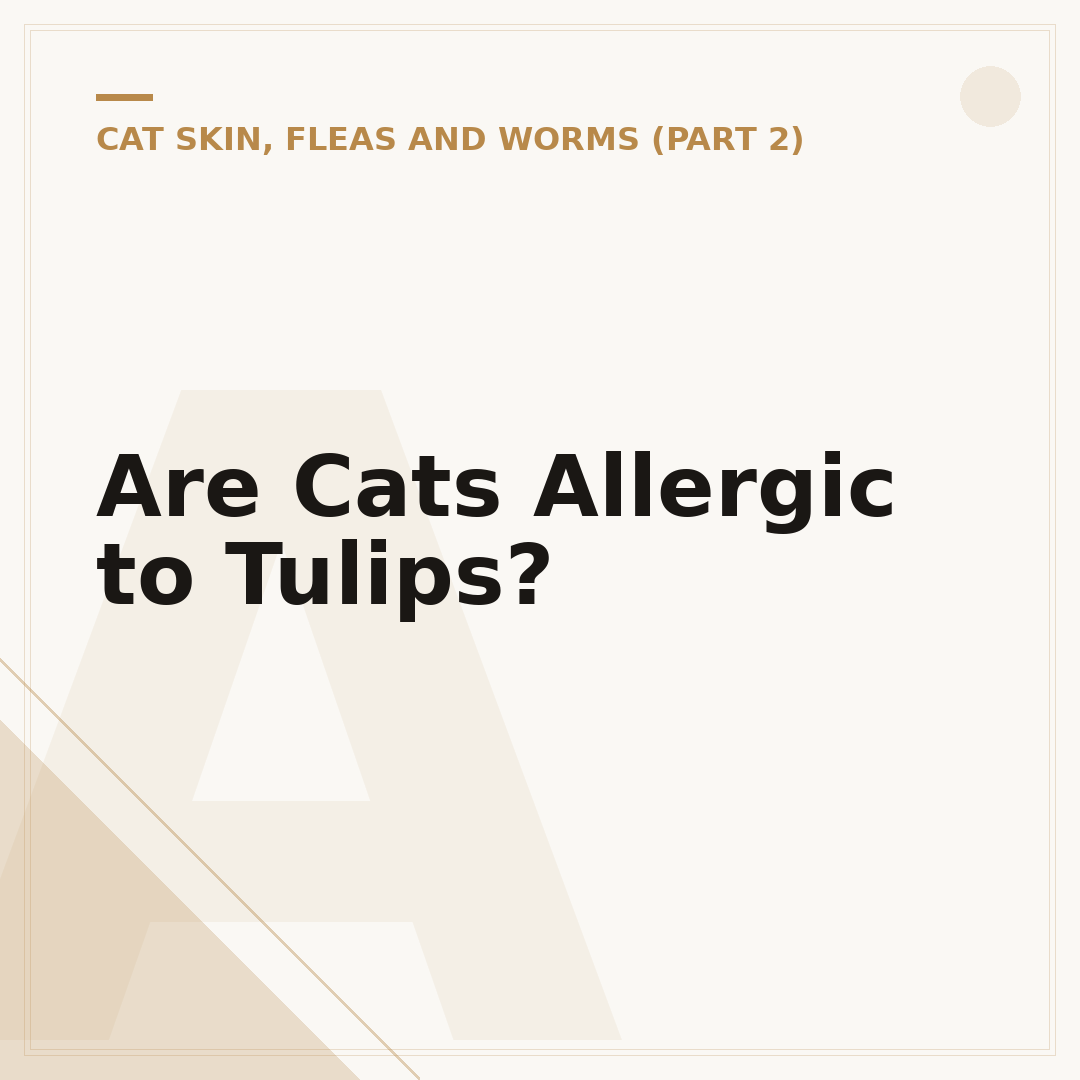 Are Cats Allergic to Tulips?