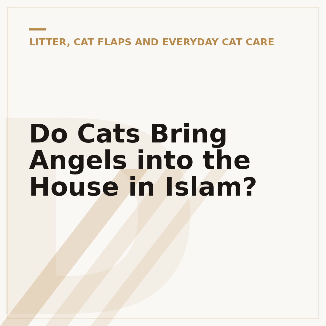 Do Cats Bring Angels into the House in Islam?