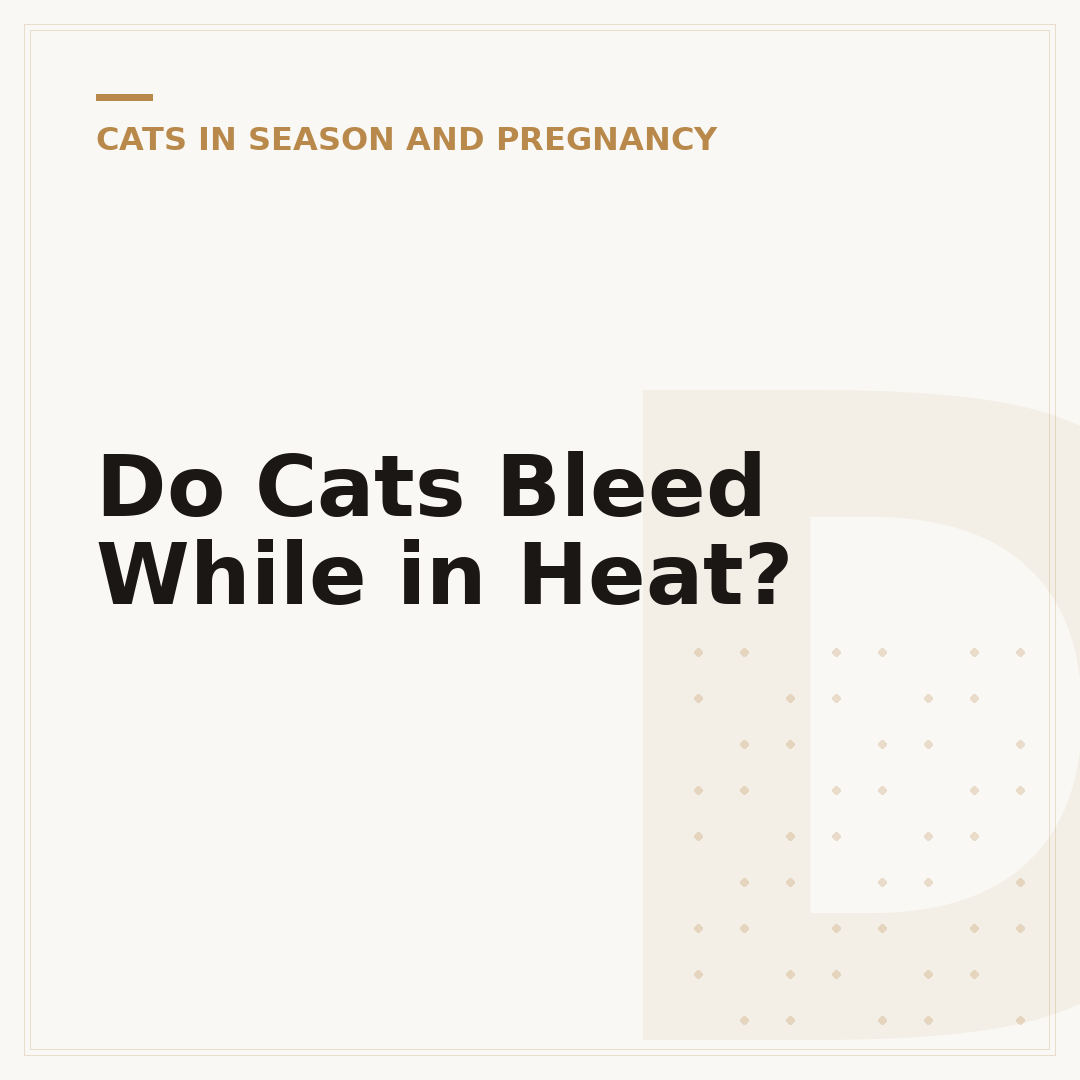 Do Cats Bleed While in Heat?