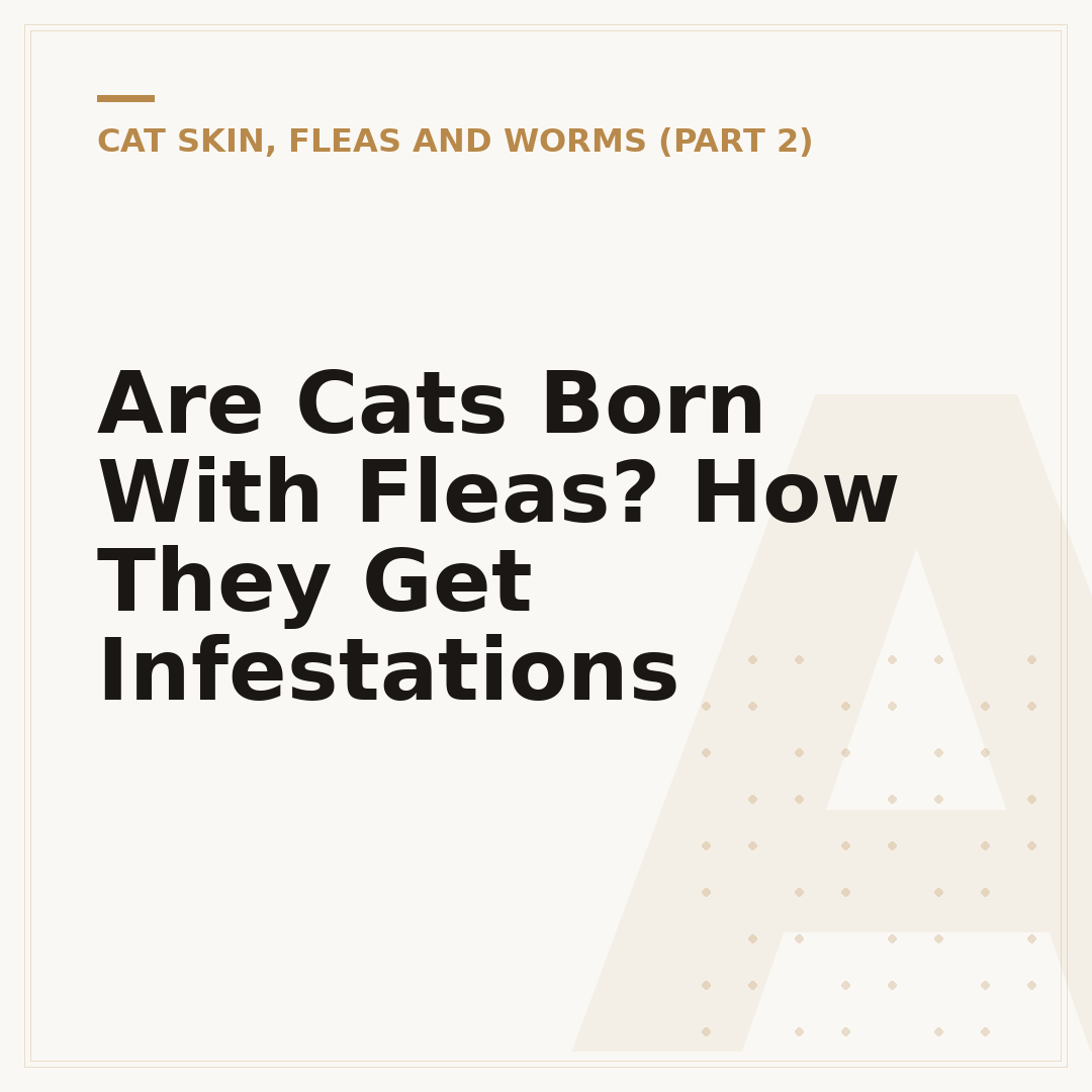 Are Cats Born With Fleas? How They Get Infestations