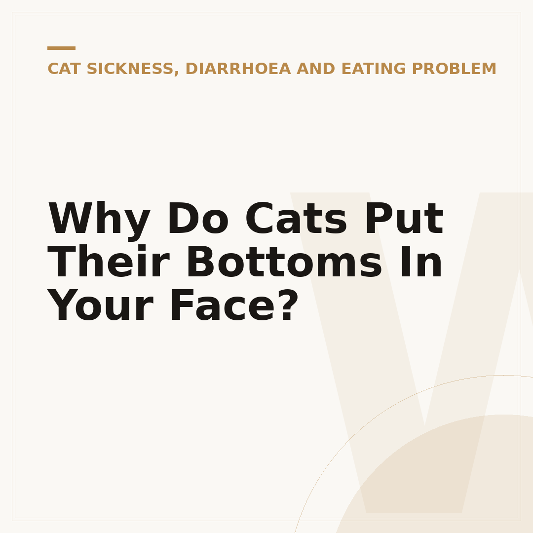 Why Do Cats Put Their Bottoms In Your Face?