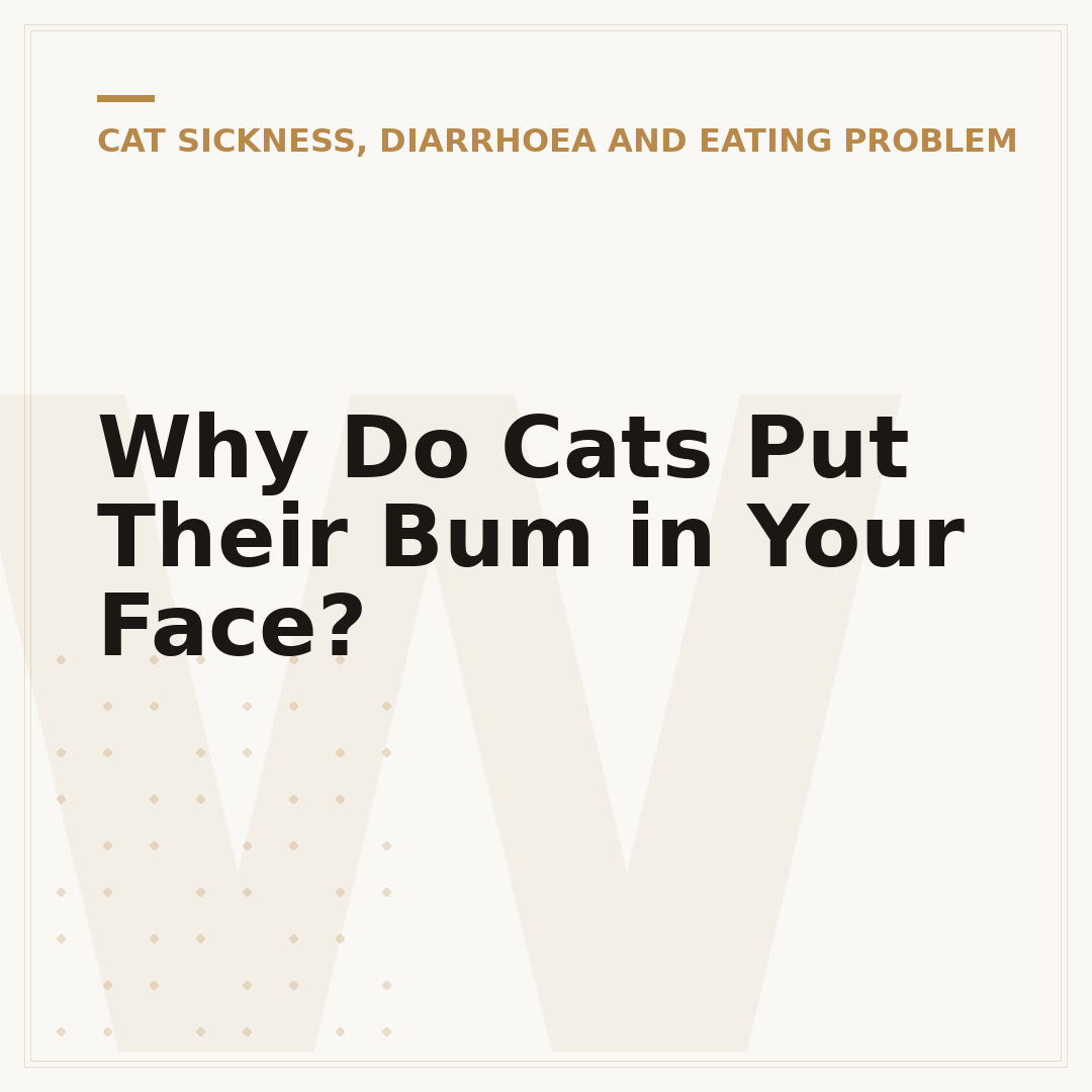 Why Do Cats Put Their Bum in Your Face?