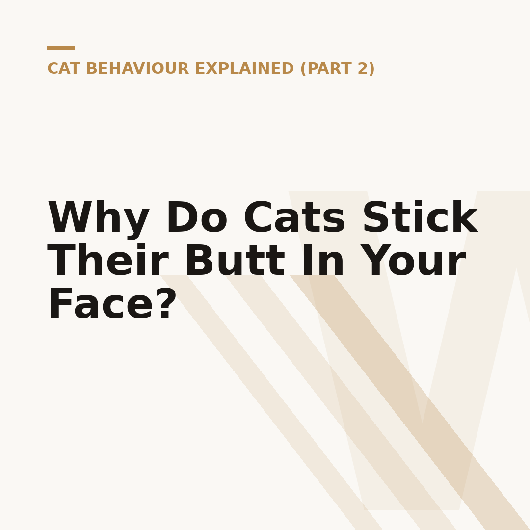 Why Do Cats Stick Their Butt In Your Face?