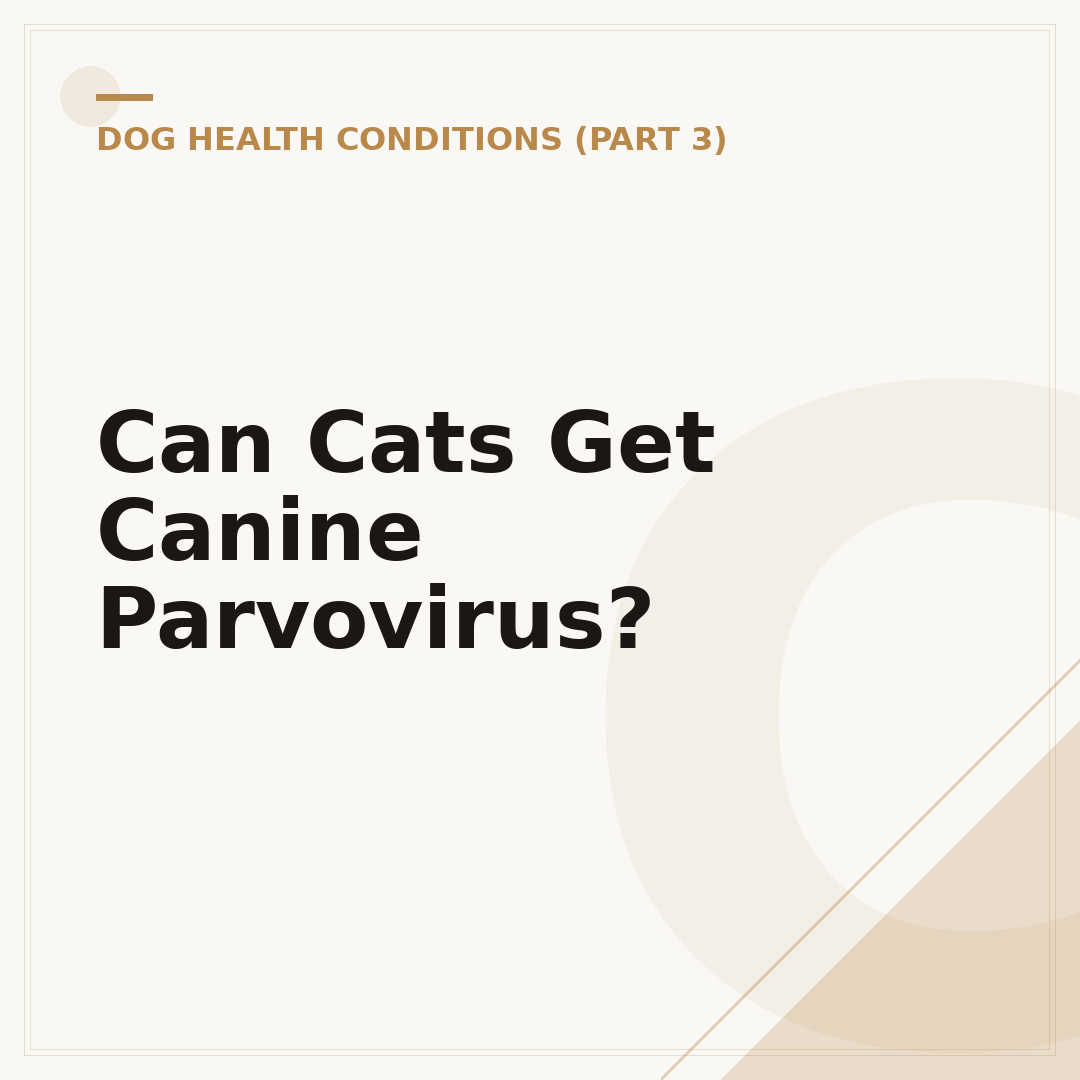 Can Cats Get Canine Parvovirus?