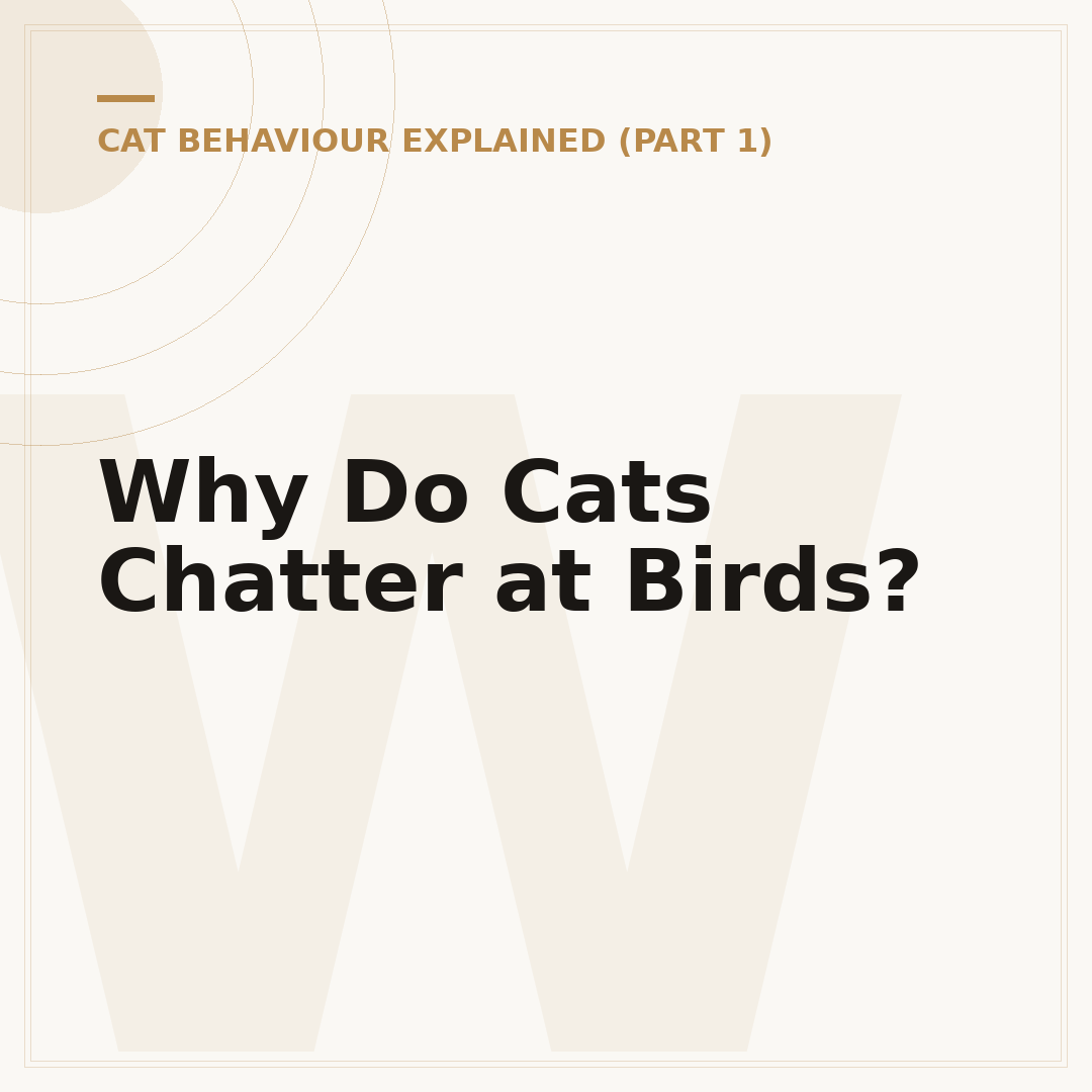 Why Do Cats Chatter at Birds?