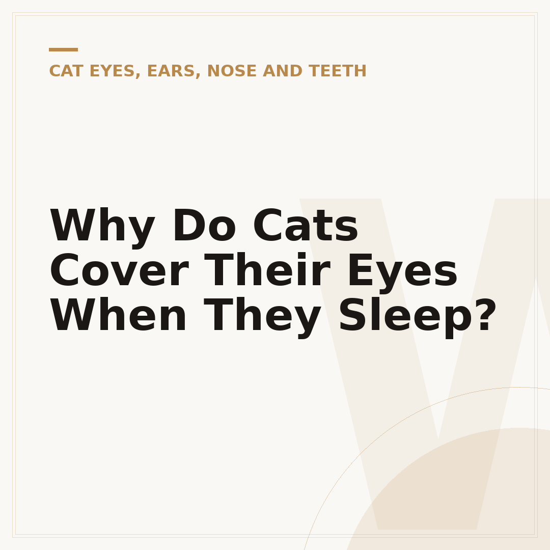 Why Do Cats Cover Their Eyes When They Sleep?