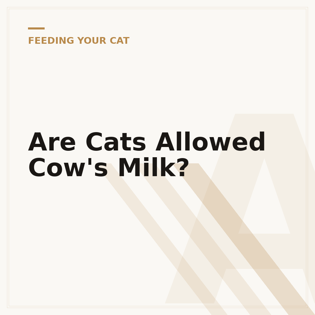 Are Cats Allowed Cow's Milk?